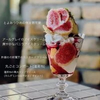 画像251