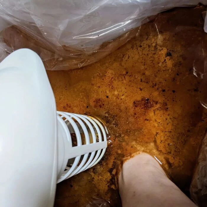 画像300