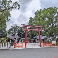 画像311