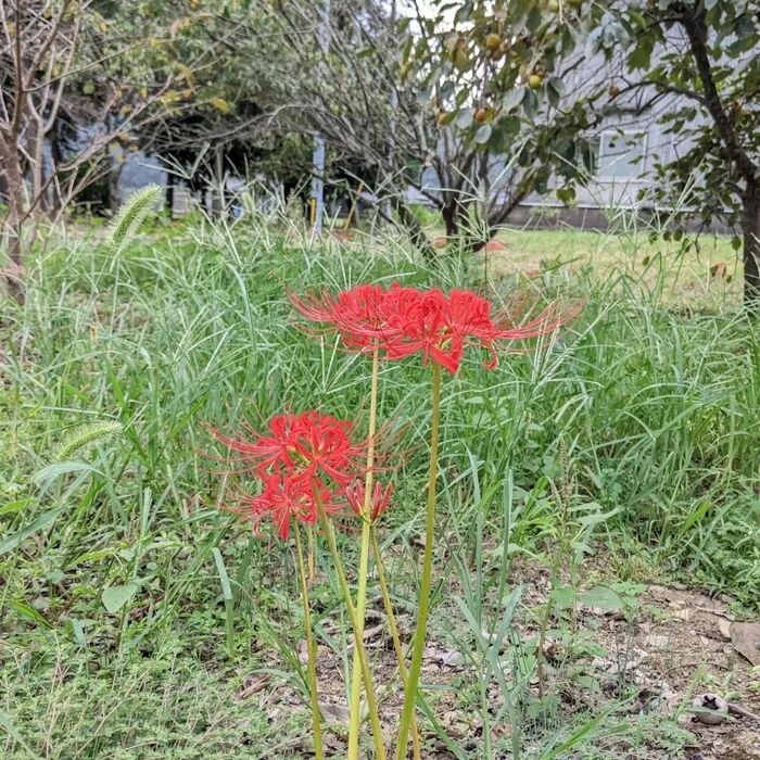 画像313
