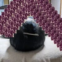 画像486