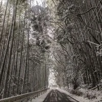 画像526