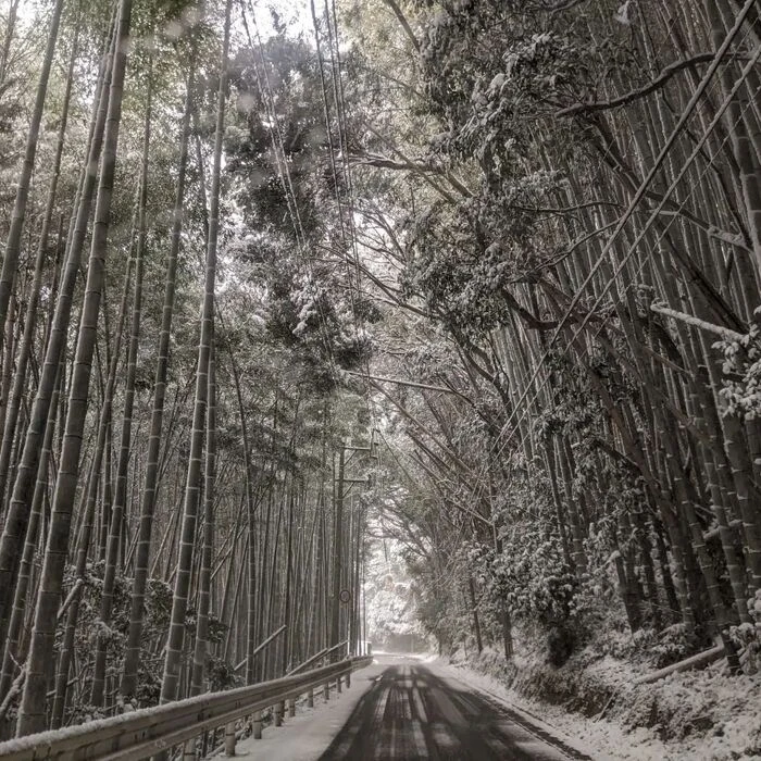 画像526