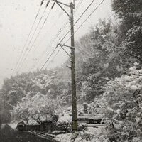 画像527