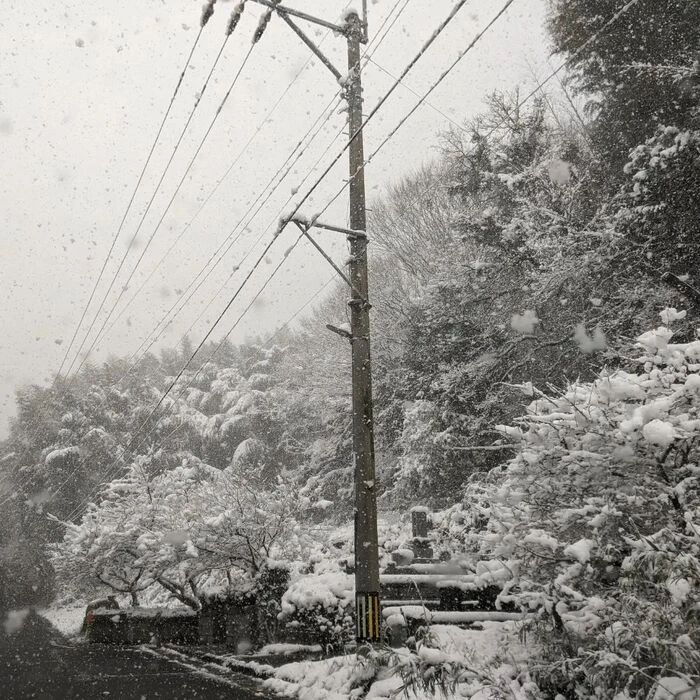 画像527
