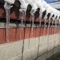 画像529