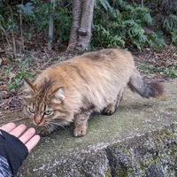 画像570