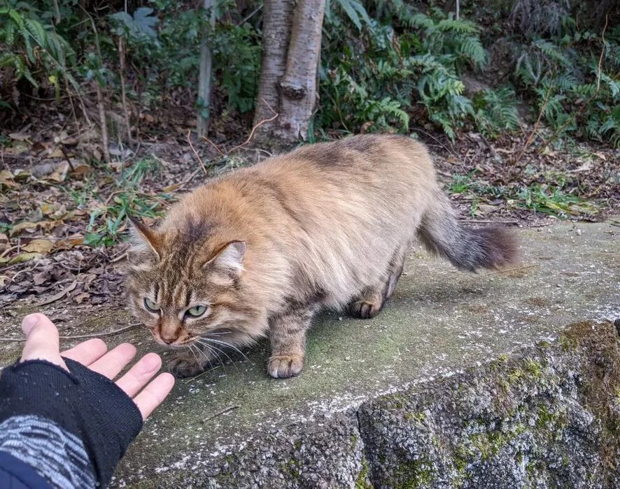 画像570