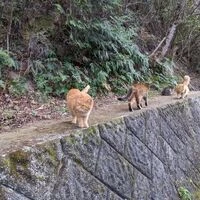 画像571